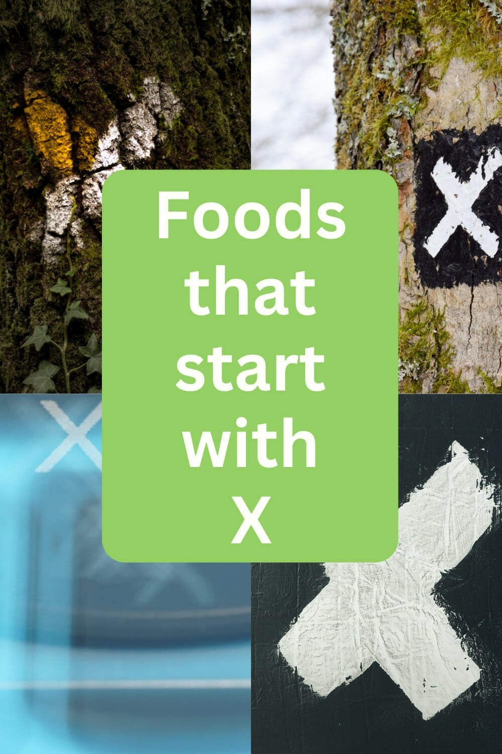 The Ultimate Guide to Foods Starting With X: Explore Now